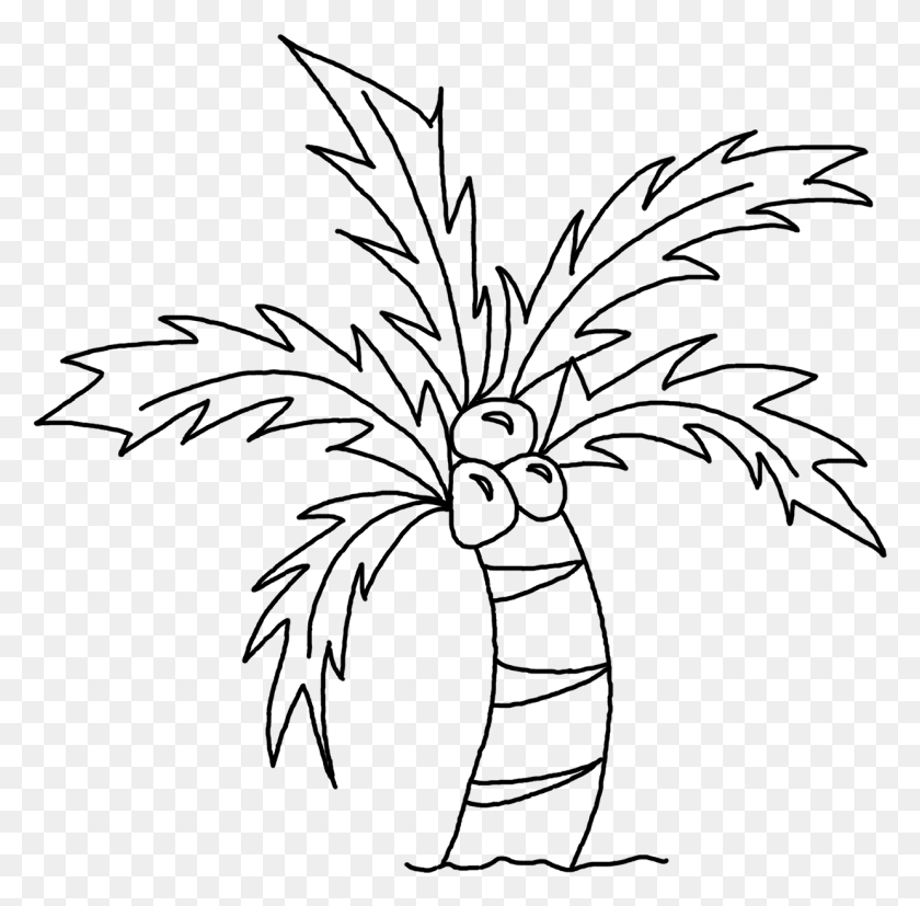 1239x1219 Нарисованная Линия Пальмы Легкий Простой Рисунок Кокосовой Пальмы, Серый, Мир Варкрафта Png Скачать