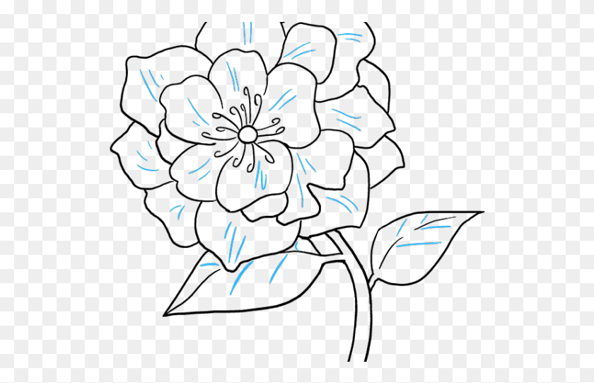 532x481 Drawn Peony Tall Flower Line Art, Nature, Outdoors, Fireworks HD PNG Download