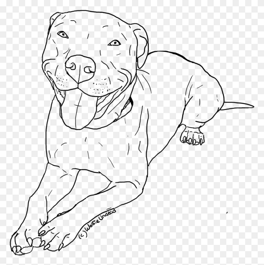 893x898 Drawn Pitbull Abstract Pit Bull Line Drawing, Gray, World Of Warcraft HD PNG Download