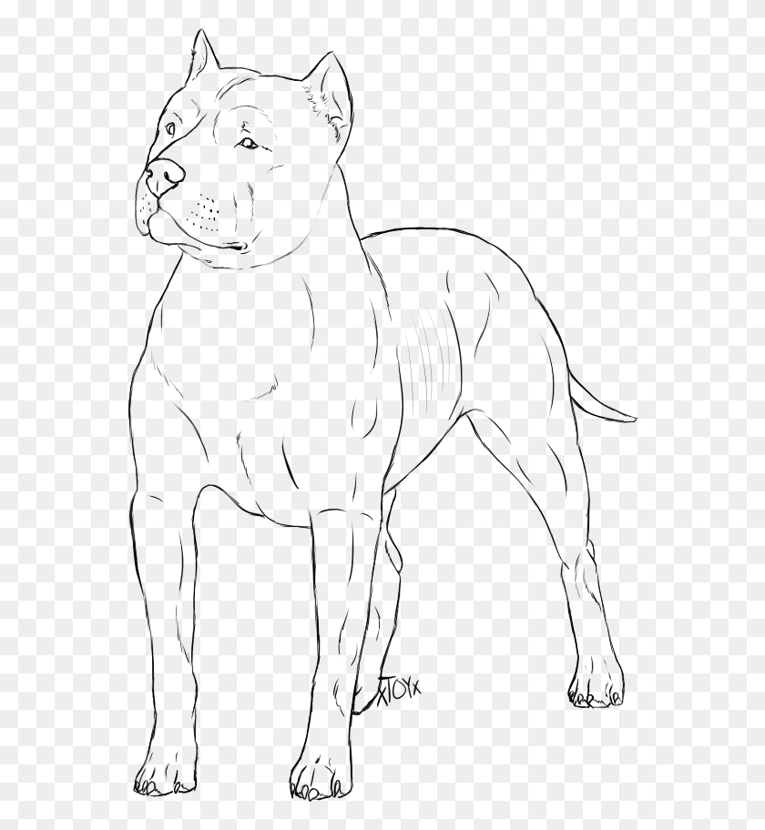 562x852 Drawn Pitbull Easy Line Art, Gray, World Of Warcraft HD PNG Download