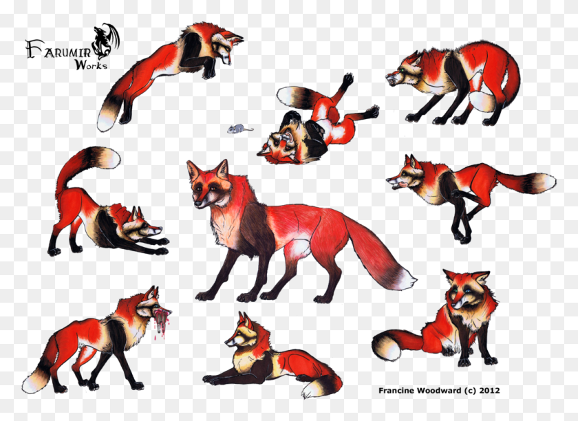 1035x733 Drawn Red Panda Racoon Cute Fox Kit Drawing, Animal, Mammal, Wildlife HD PNG Download
