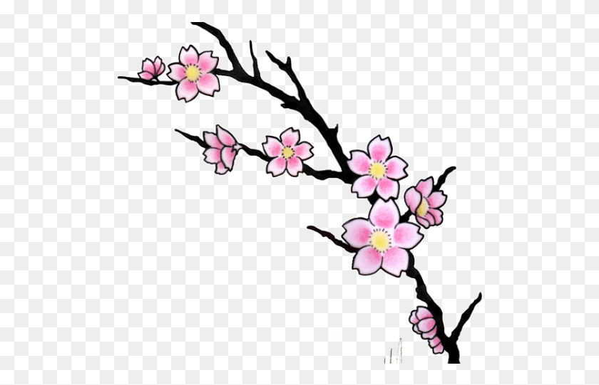 517x481 Descargar Png Dibujo Flor De Sakura Orquídea Flores De Cerezo Japonés Tatuaje, Gráficos, Diseño Floral Hd Png