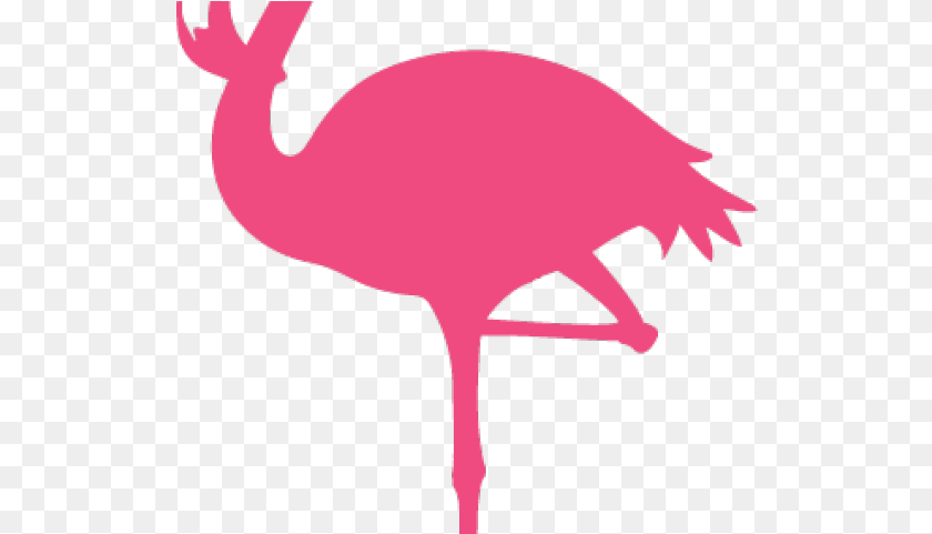 Drawn Santa Hat Clear Background Flightless Bird Full Clip Art, Animal, Flamingo, Baby, Person Clipart PNG