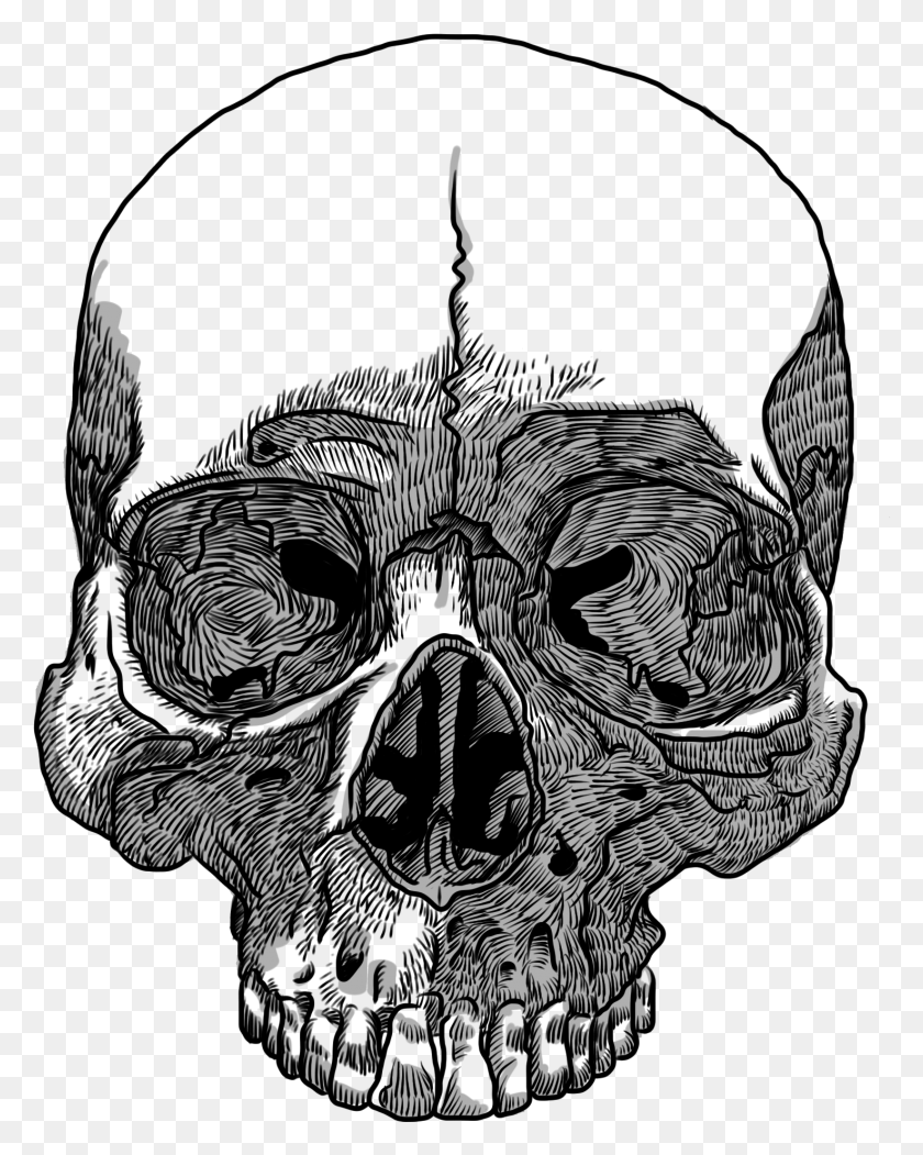 1474x1873 Drawn Skull Transparent Skull, Stencil, Lamp HD PNG Download