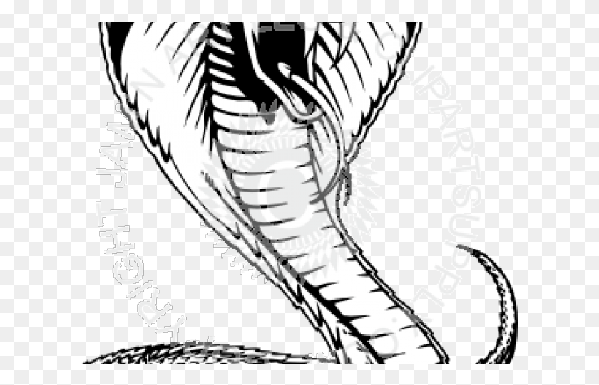 613x481 Drawn Snake Viper Snake Drawings Of A Viper, Cobra, Reptile, Animal HD PNG Download