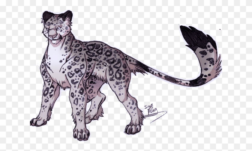 641x445 Drawn Snow Leopard Gif Transparent Leopardo De Las Nieves Dibujo, Panther, Wildlife, Mammal HD PNG Download