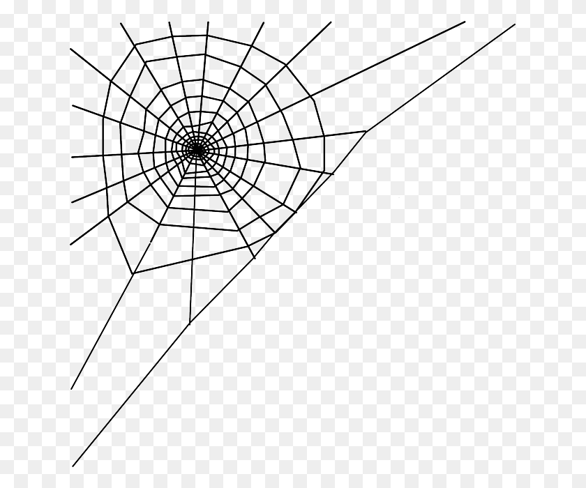 639x640 Drawn Spider Web Transparent Spider Web Clip Art HD PNG Download