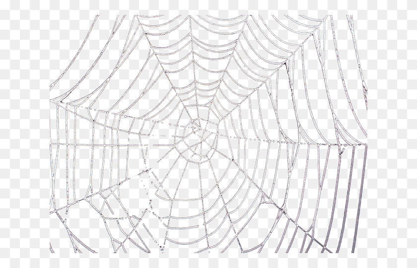 640x480 Drawn Spider Web Transparent Tumblr Spider Web, Rug HD PNG Download
