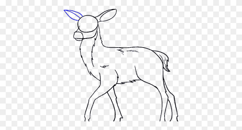 401x392 Drawn Stag Drawing Deer, Animal, Wildlife, Mammal HD PNG Download