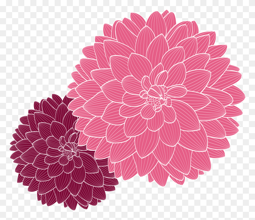 1898x1624 Drawn Strawberry Chrysanthemum Dahlia Flower Vector, Plant, Blossom, Rug HD PNG Download