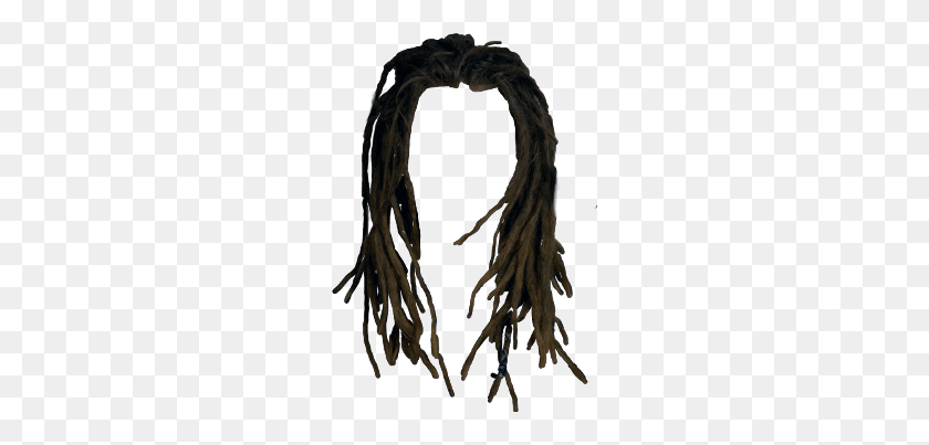 240x343 Dreadlocks Transparent Background, Root, Plant, Hair HD PNG Download