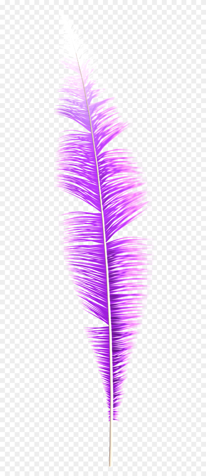 425x1879 Dream Feather Art, Фиолетовый, Свет, Растение Hd Png Скачать