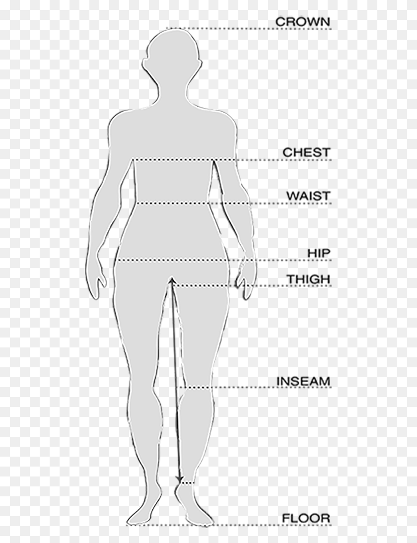 499x1034 Dricoper Women In Leg Guide, Plot, Diagram, Measurements HD PNG Download
