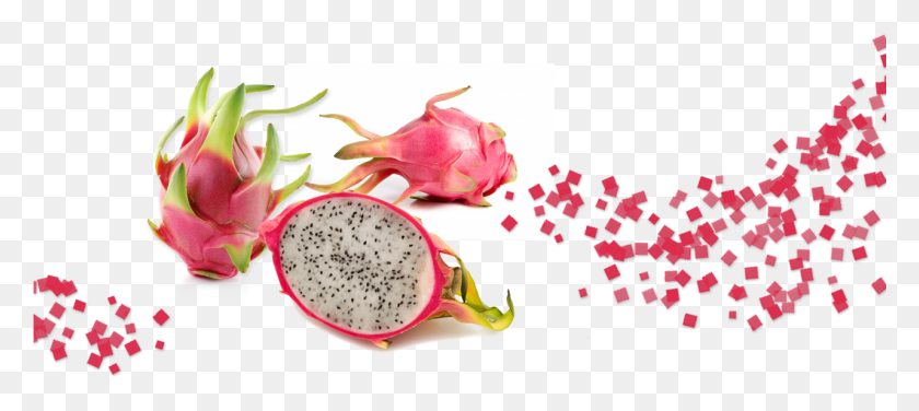 1281x520 Dried Dragon Fruit Dragon Fruit Tree, Plant, Food, Graphics HD PNG Download