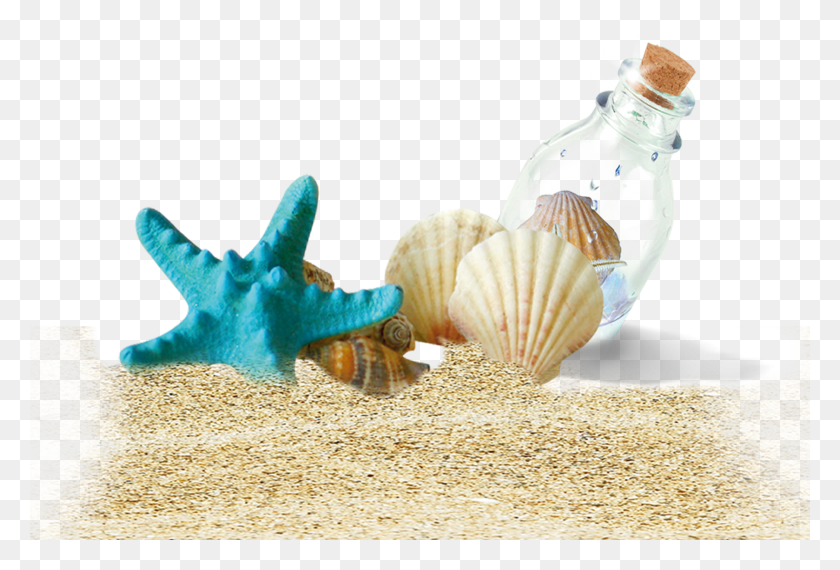 3352x2193 Drift Bottles Beach Bottle Shells Free Clipart Hq Background Sunscreen HD PNG Download