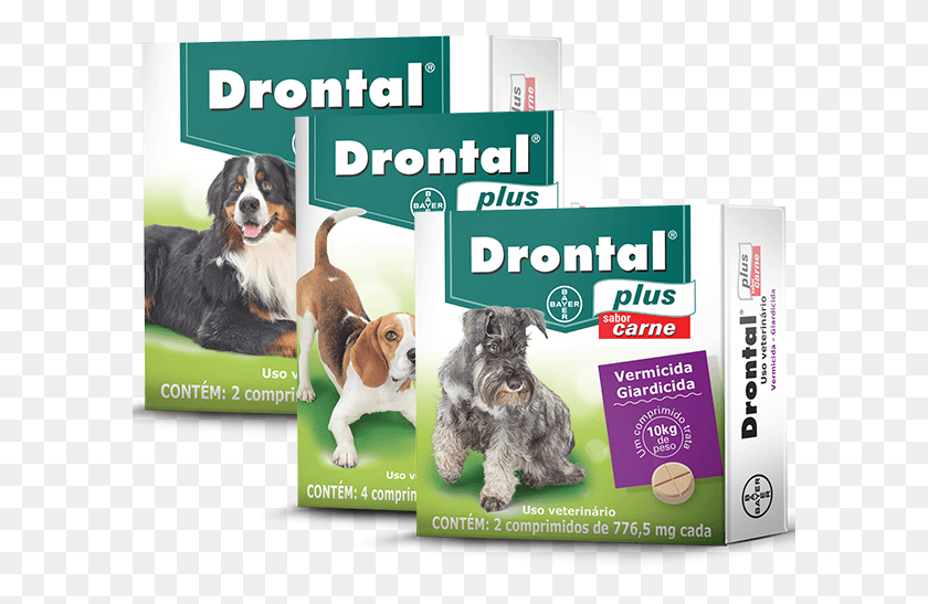 601x487 Drontal Plus Carne Remedio De Verme Para Cachorro, Dog, Pet, Canine HD PNG Download
