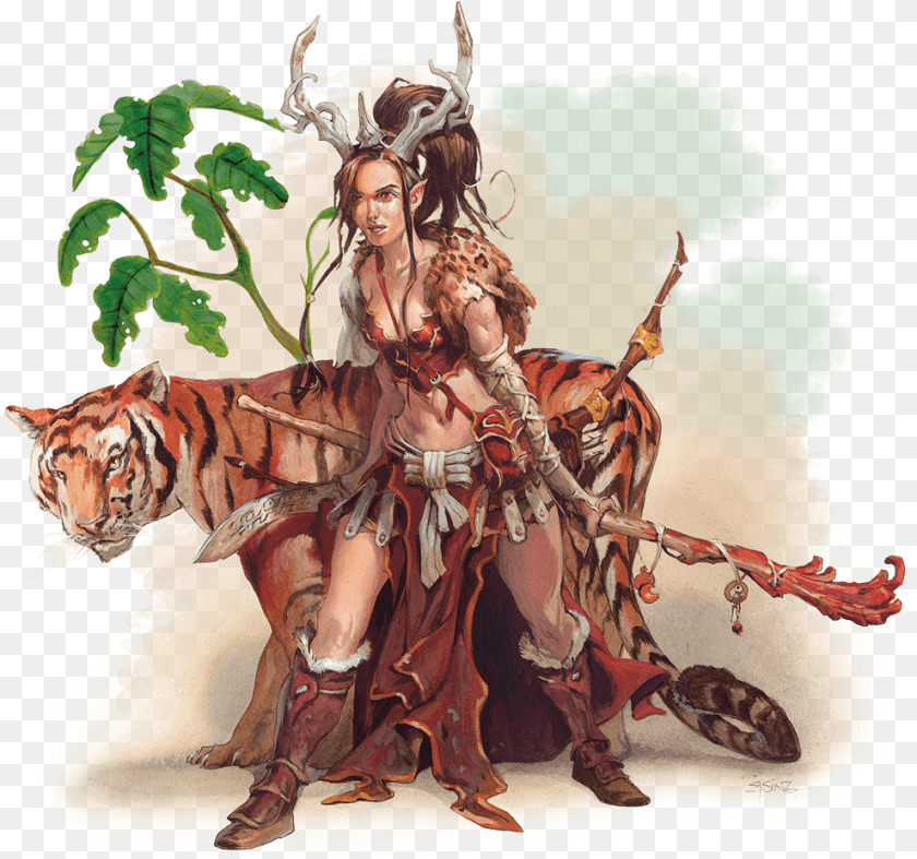 Druid Leather Armor, Adult, Person, Female, Woman Transparent PNG