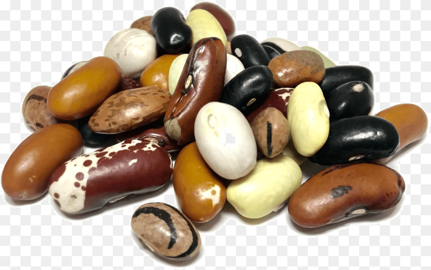 Dry Beans Clipart PNG