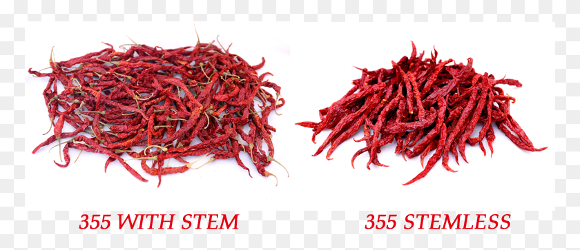 769x303 Dry Red Chilli Bird39s Eye Chili, Plant, Vegetable, Food HD PNG Download