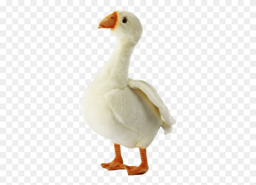 318x548 Duck, Bird, Animal, Snowman HD PNG Download