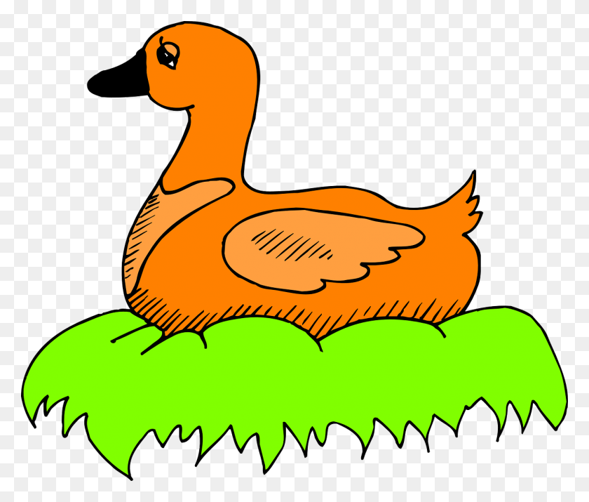 1280x1076 Duck Bird Nest Clip Art Orange Duck Clipart, Animal HD PNG Download