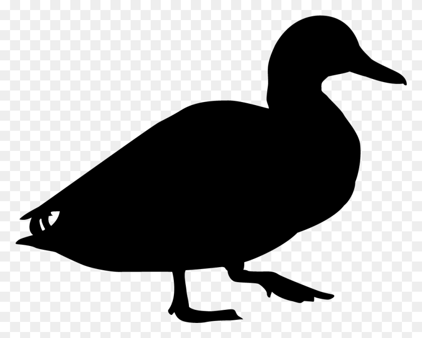1019x800 Duck Black And White, Bow, Animal, Bird HD PNG Download