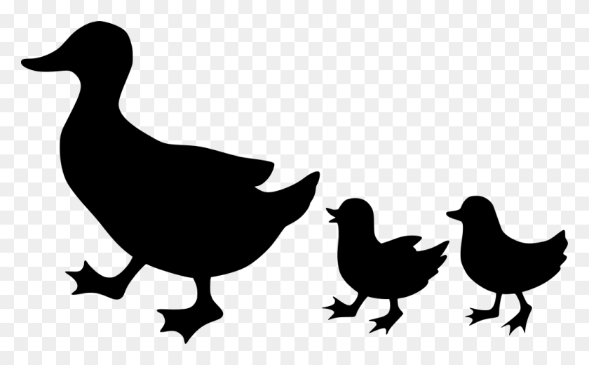 1024x605 Duck Chicks Mother Ducklings Duckling Silhouettes Duck Family Silhouette, Gray, World Of Warcraft HD PNG Download