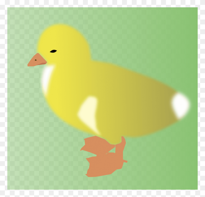 783x750 Duck Drawing Yellow Chicken Cartoon Duck, Bird, Animal, Text HD PNG Download