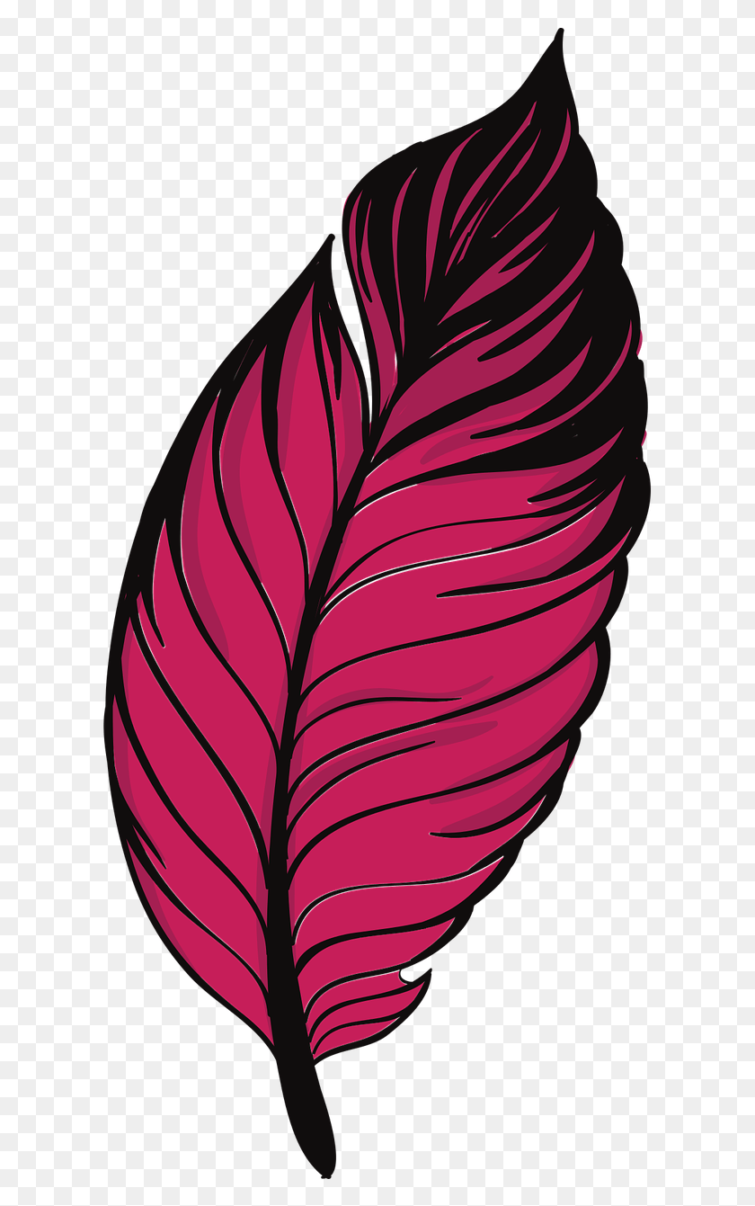 615x1281 Duck Feather, Leaf, Plant, Veins HD PNG Download