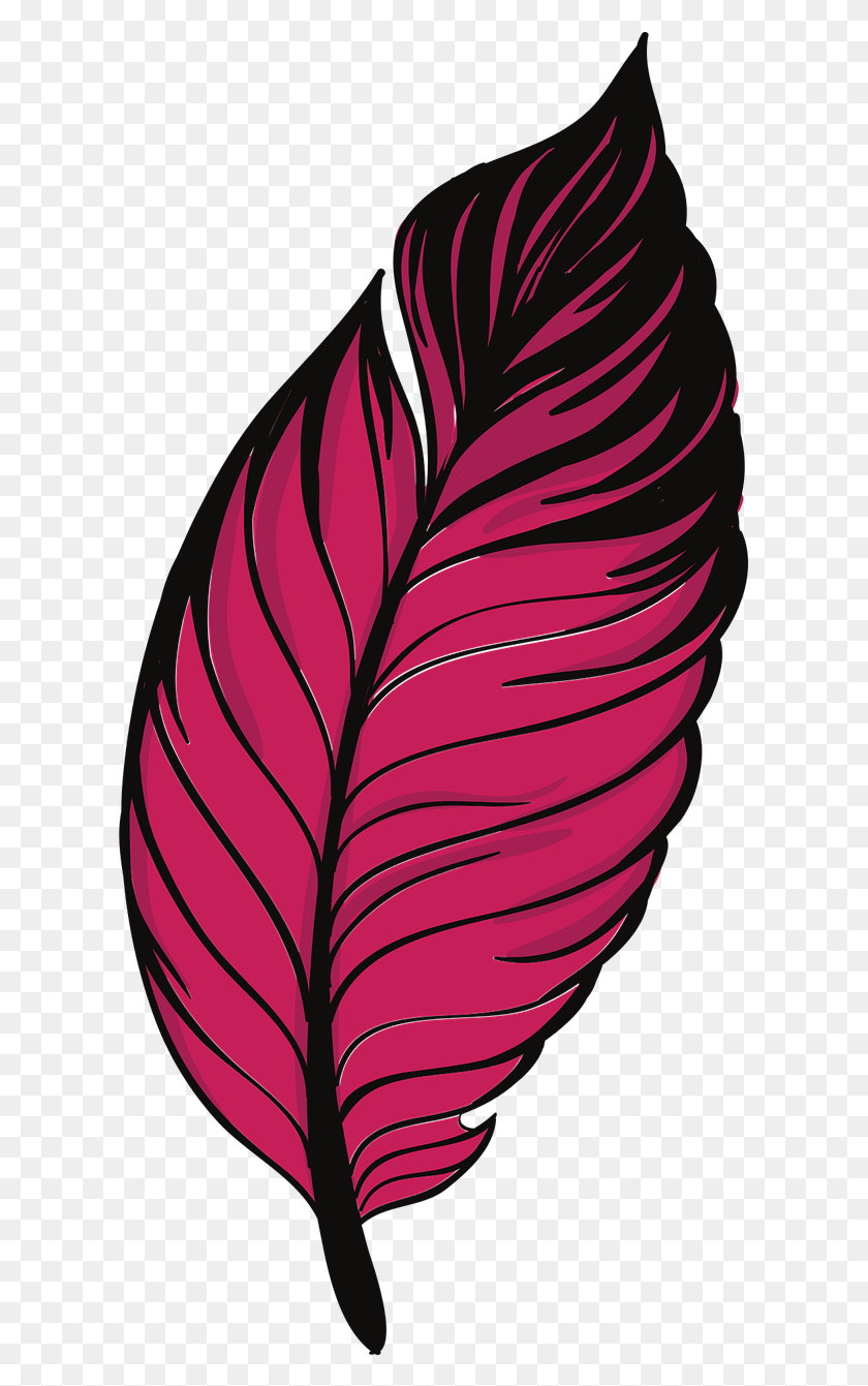 615x1281 Pluma De Pato, Hoja, Planta, Venas Hd Png