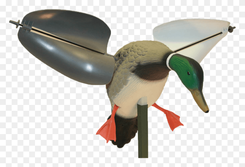 1616x1063 Duck Hunt Duck, Bird, Animal, Waterfowl HD PNG Download