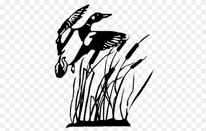 Duck Hunting Silhouette, Animal, Bird, Stencil, Waterfowl Transparent PNG