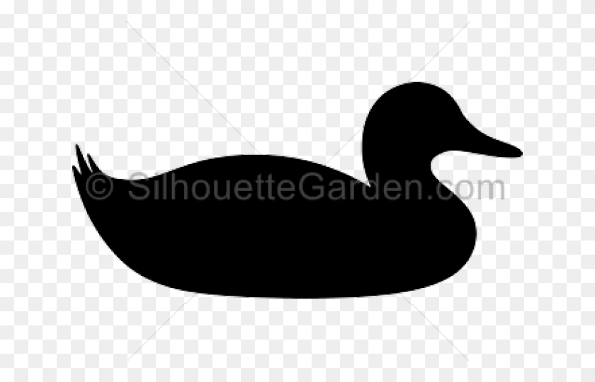 640x480 Duck On Water Silhouette Duck Silhouette, Waterfowl, Bird, Animal HD PNG Download