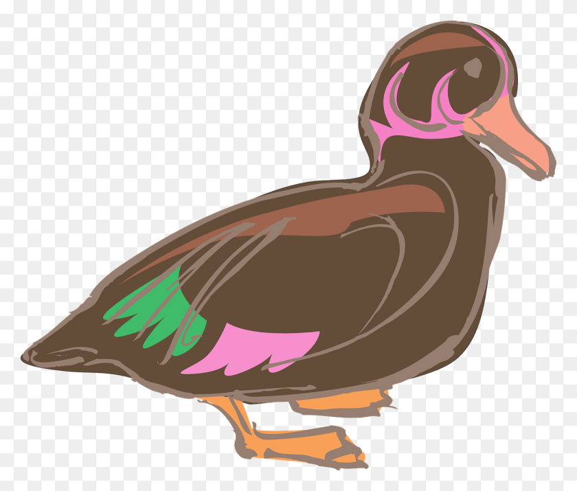 1280x1075 Duck Vector Mallard Duck, Bird, Animal, Dodo HD PNG Download