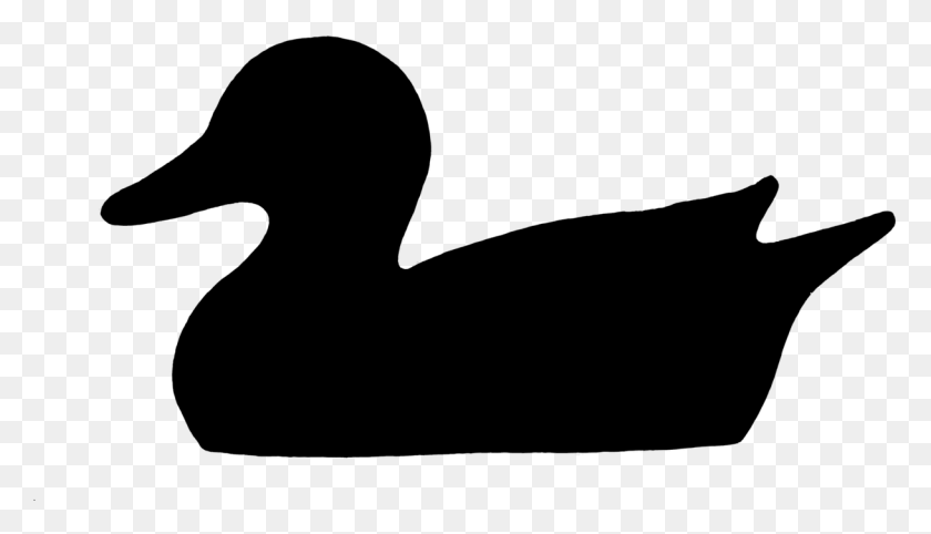 1218x660 Duck Water Bird Silhouette Duck, Gray, World Of Warcraft HD PNG Download