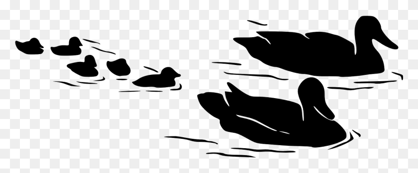1281x475 Ducks Birds Swimming Geese Image Five Little Ducks Piano Sheet Music, Gray, World Of Warcraft HD PNG Download