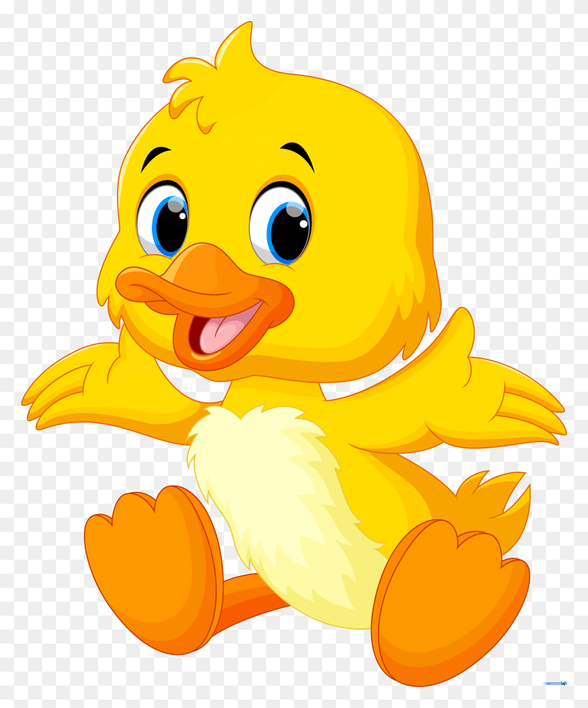 4327x5282 Ducks Clip Art Transprent Free Cute Cartoon Baby Duck, Bird, Animal, Poultry HD PNG Download