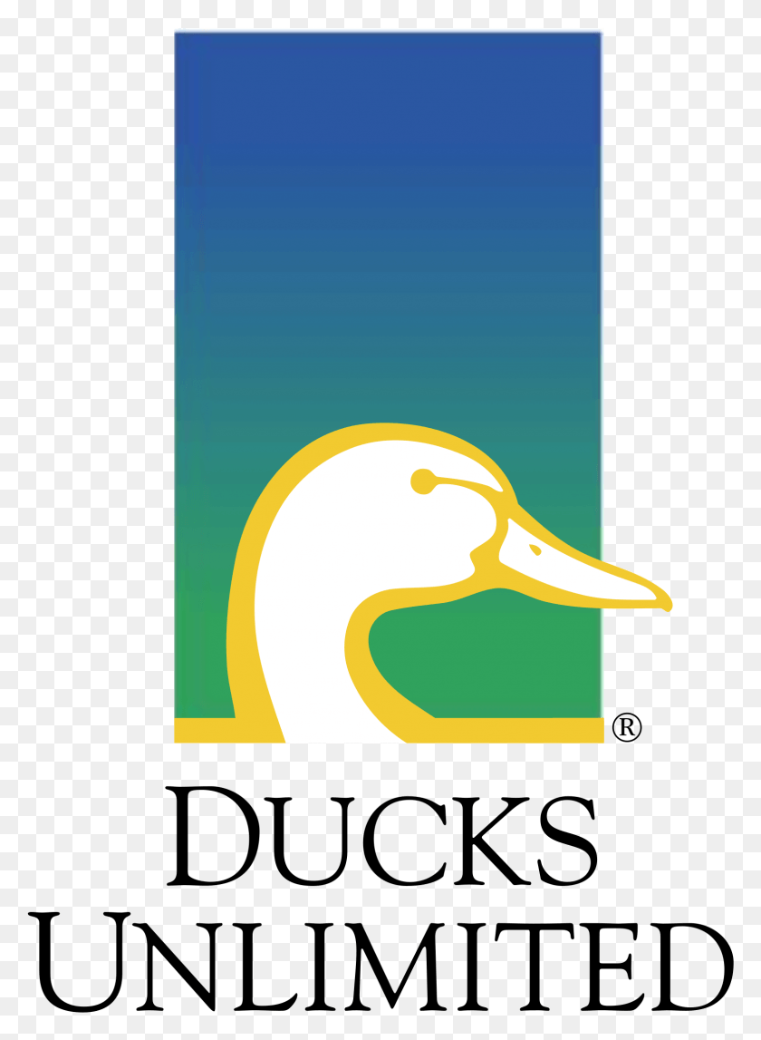 1571x2191 Ducks Unlimited Logo Transparent Ducks Unlimited, Duck, Bird, Animal HD PNG Download