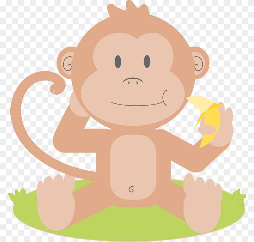 800x800 Dumb Monkey Cliparts Download Clip Art, Baby, Person, Face, Head Transparent PNG