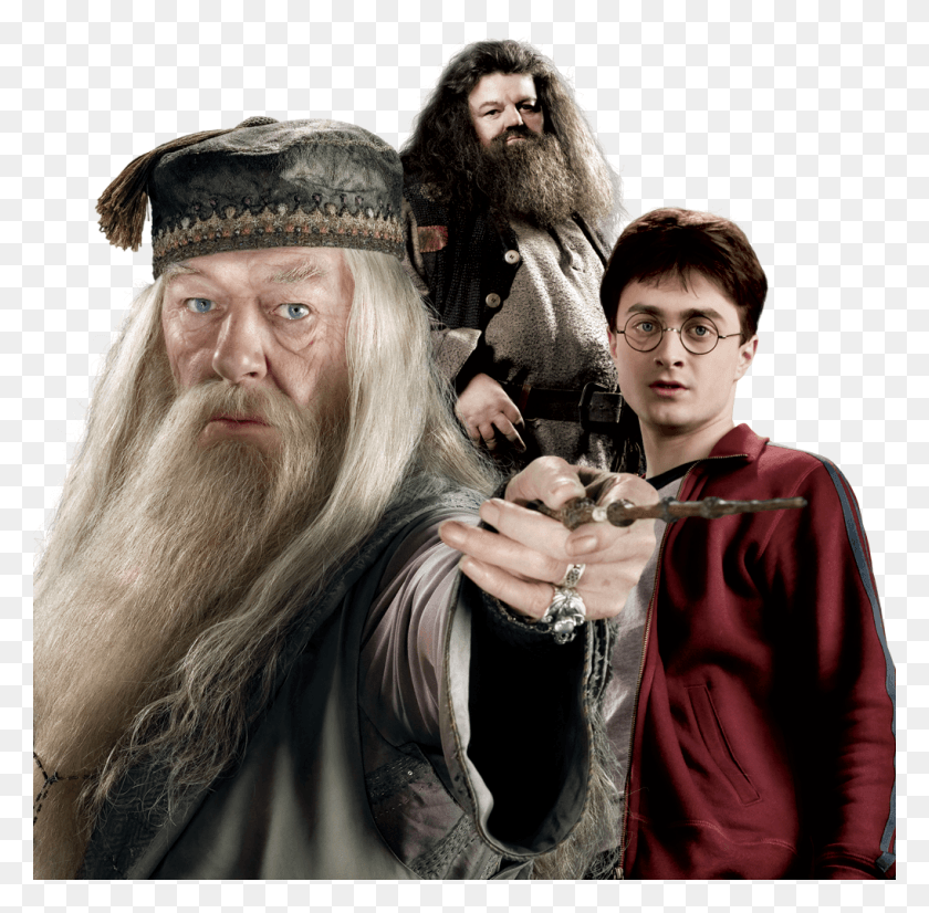 1018x1000 Dumbledore, Face, Person, Human HD PNG Download