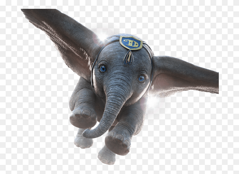 698x552 Dumbo Film, Elephant, Wildlife, Mammal HD PNG Download