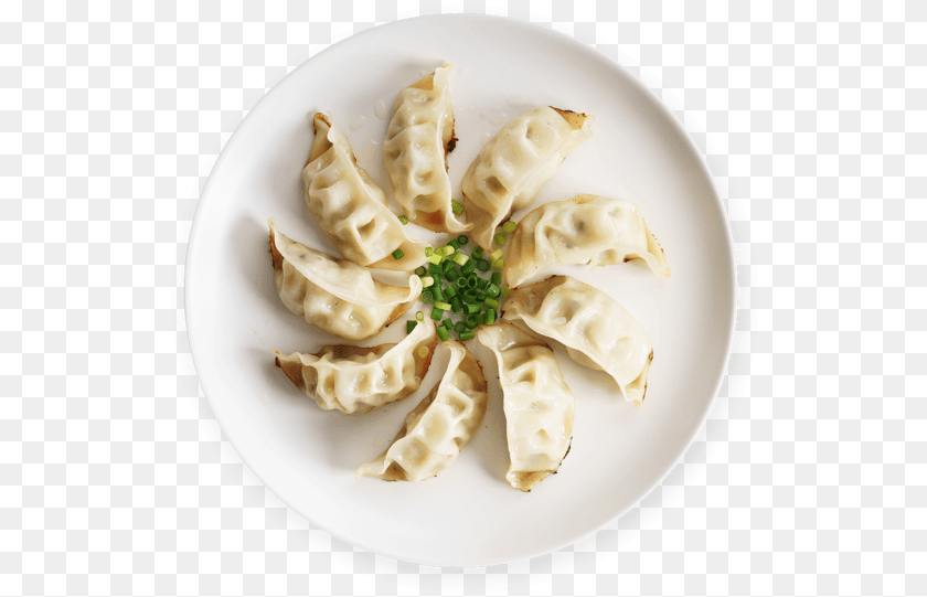 541x541 Dumpling In A Plate Cartoon, Food, Food Presentation, Meal, Dish PNG