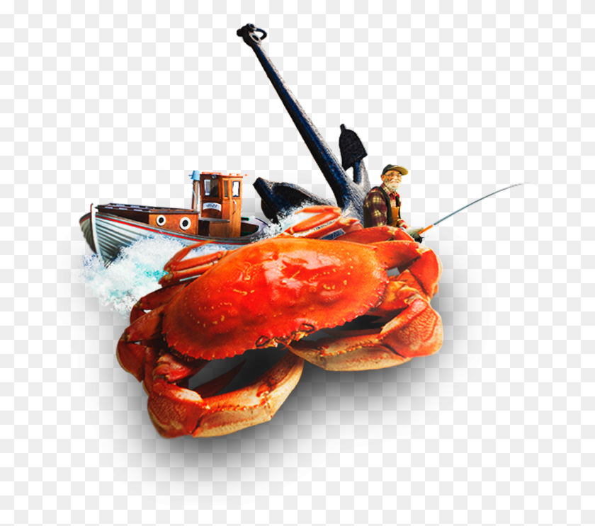 687x683 Dungeness Crab, Lobster, Seafood, Sea Life HD PNG Download