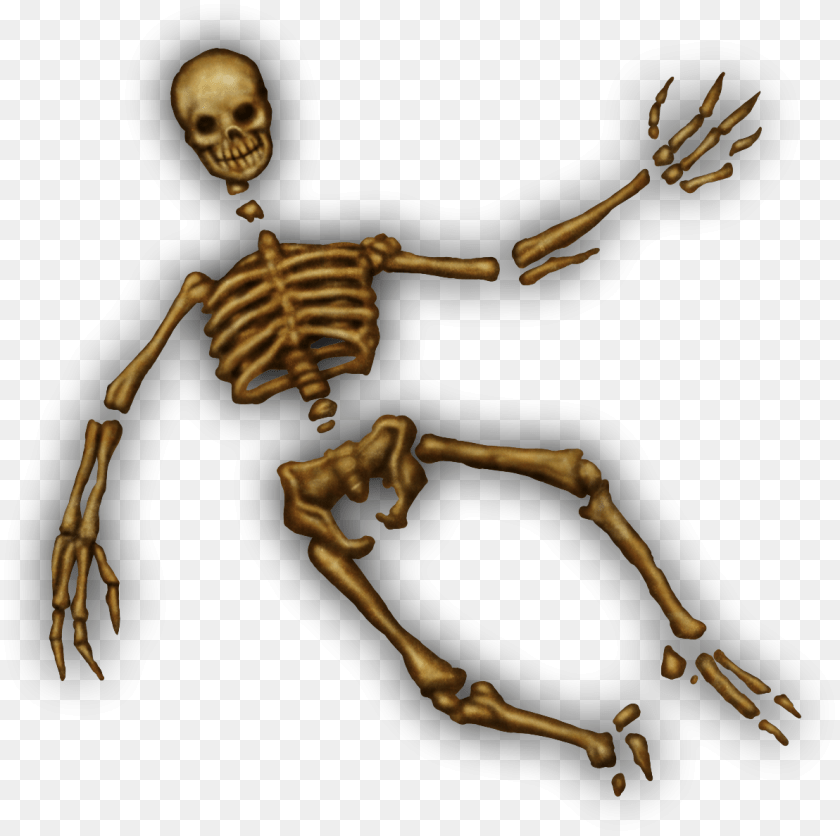 Dungeons Amp Dragons Skeleton, Adult, Male, Man, Person Clipart PNG