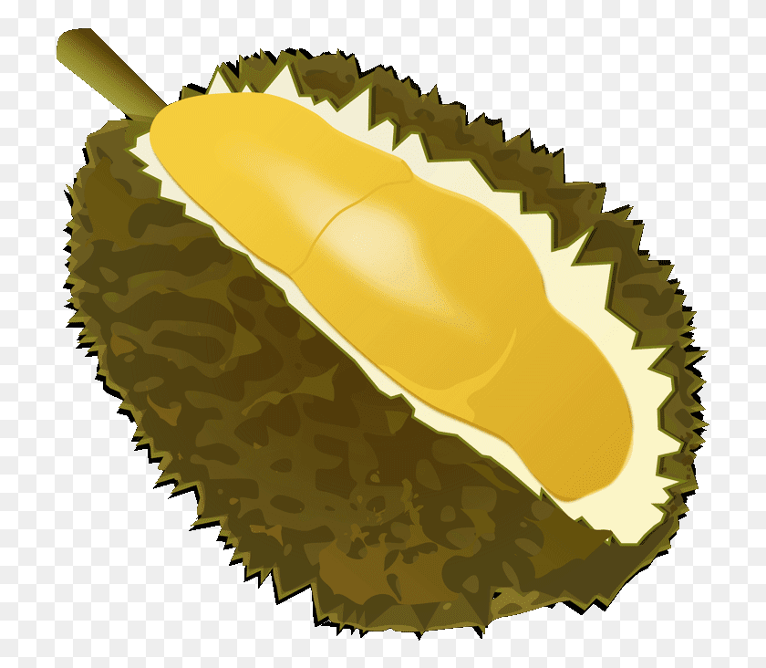 717x672 Durian Clipart Royalty Free Durian, Plant, Fruit, Produce HD PNG Download