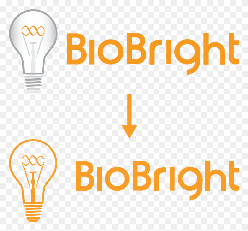 1169x1085 During My First Thorough Assessment Of Biobright39s Incandescent Light Bulb, Light, Lightbulb HD PNG Download