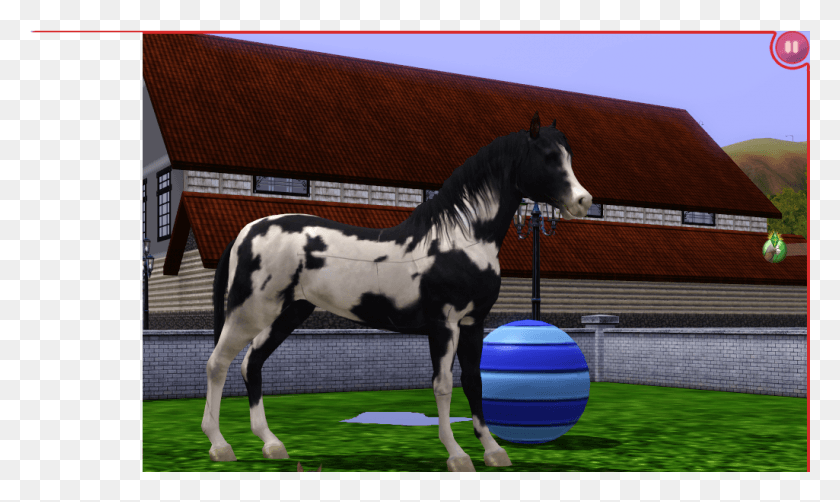 1025x581 Dusk Stallion, Horse, Mammal, Animal HD PNG Download