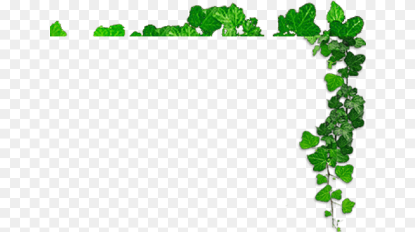641x469 Dussehra Images Herba, Green, Vegetation, Herbs, Leaf Sticker PNG