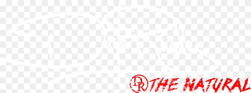 4993x1855 Dustin Rhodes Graphic Design PNG