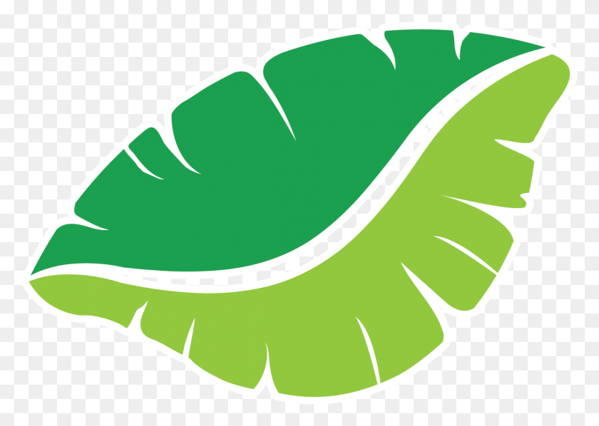 1136x784 E, Graphics, Plant HD PNG Download